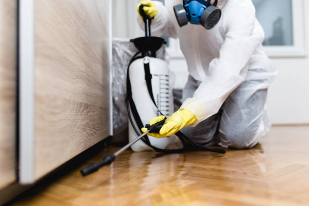 Best Affordable Pest Control Services  in Craig, CO