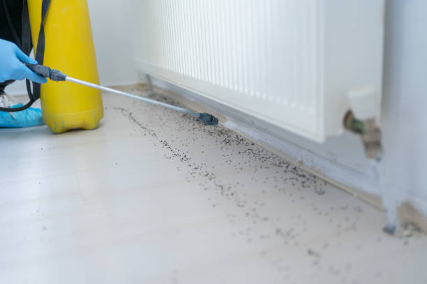 Best Mosquito Control Services  in Craig, CO