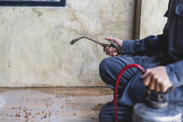 Best Pest Control Near Me  in Craig, CO